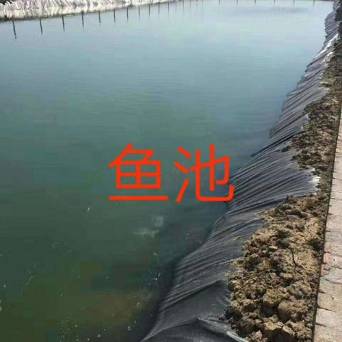 ~(y)طBĤ
